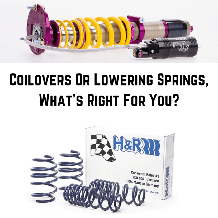 Coilovers Vs Lowering Springs - Parts Plug Coilovers Vs Lowering Springs - Parts Plug